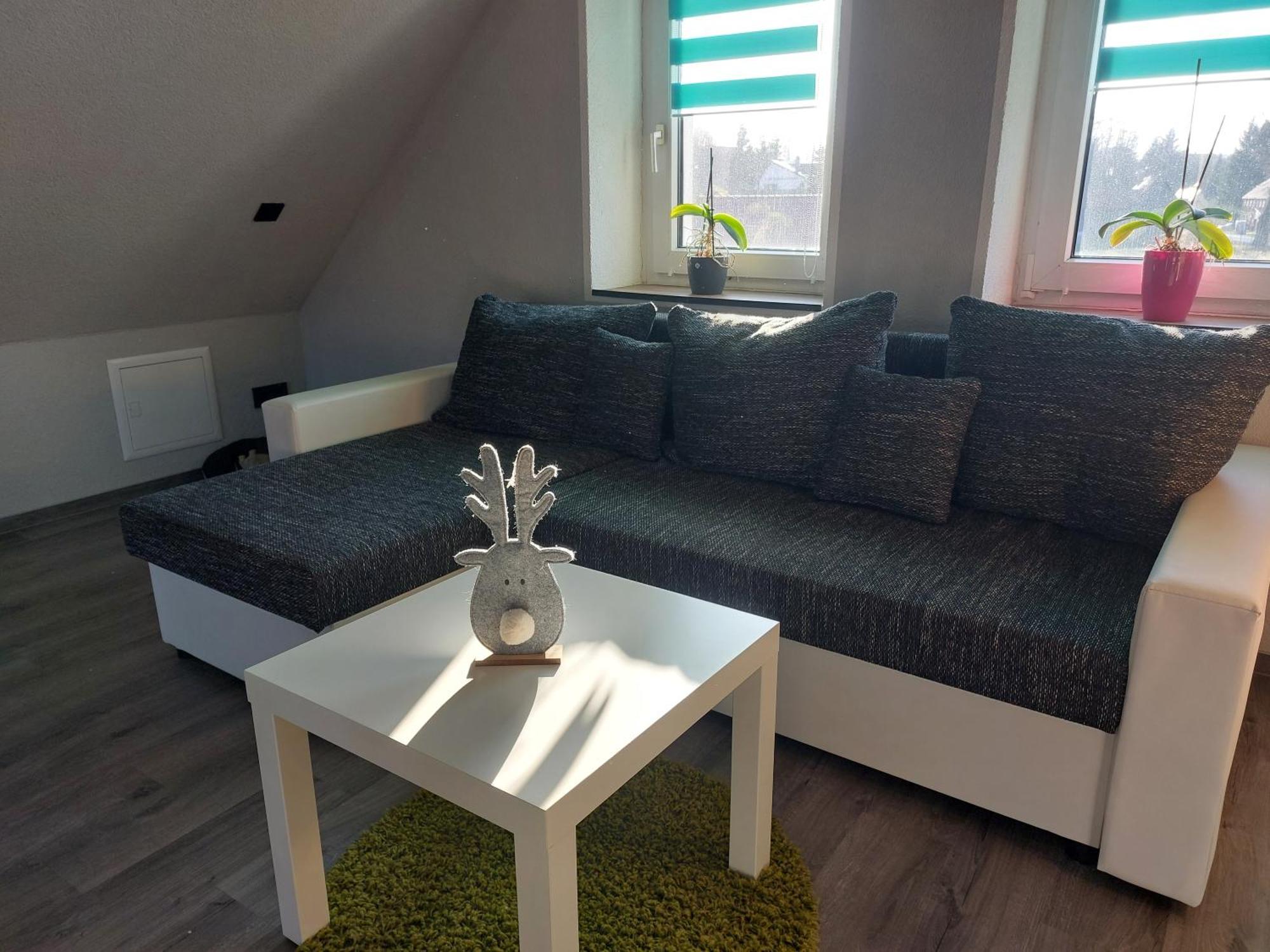 Haus Am Seidelberg Βίλα Durrhennersdorf Εξωτερικό φωτογραφία